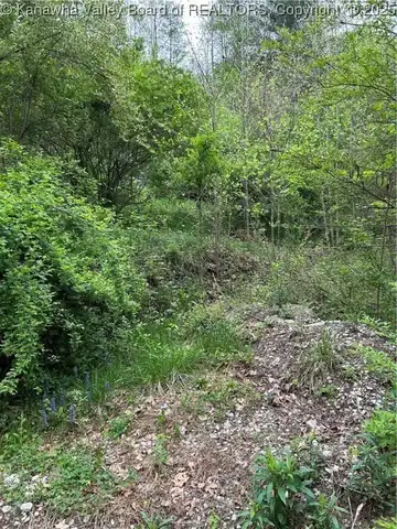 261 Poca River Road, Charleston, WV 02312