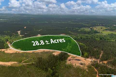 Track 17 HERITAGE PINES WAY, CHELSEA, AL 35040