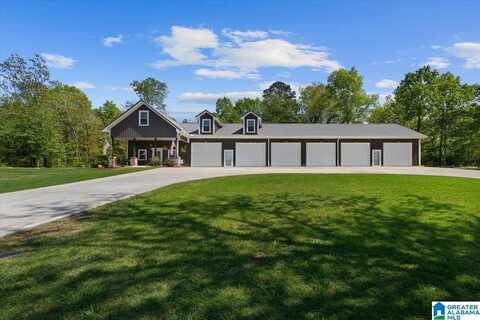 1299 LAKESHORE DRIVE, ONEONTA, AL 35121