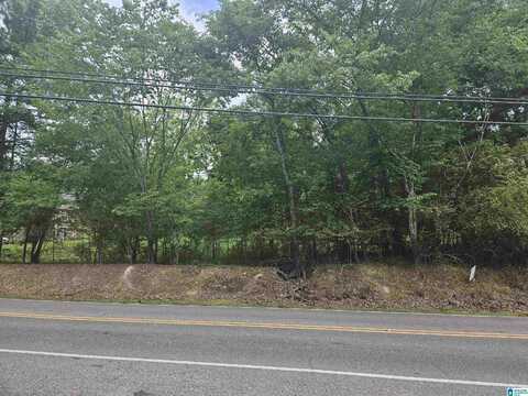 208 25TH AVENUE, CENTER POINT, AL 35215