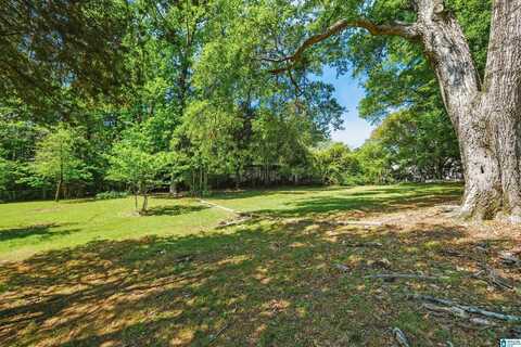 117 PINE HILL CIRCLE, COLUMBIANA, AL 35051