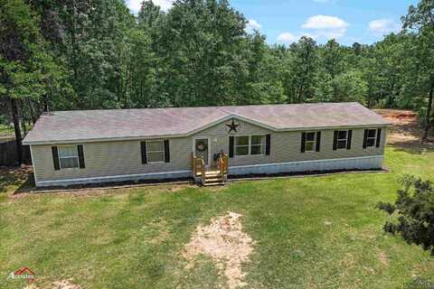 10846 Hwy 43, Tatum, TX 75691