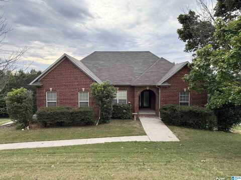 487 WOODLAND RIDGE ROAD, ODENVILLE, AL 35120