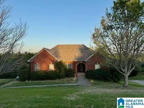 487 WOODLAND RIDGE ROAD, ODENVILLE, AL 35120