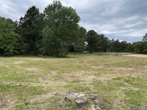 Tbd Harris St., Hawkins, TX 75765