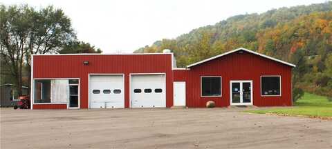 38 N Dansville Street, Cohocton, NY 14826