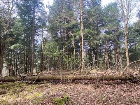 Lot A Piermott Lane, Hartwick, NY 13348