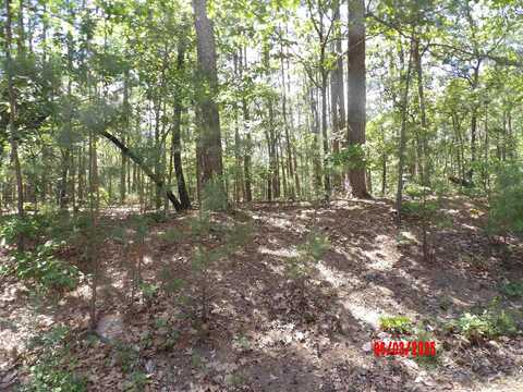 4 VUELTA LANE, Hot Springs Village, AR 71909