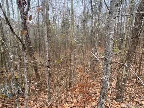Lot 77 Mustang Drive, Clinton, AR 72031
