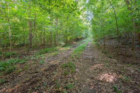 198.62 +/- AC APALACHEE WOODS TRAIL, Buckhead, GA 30625