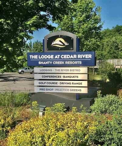 LOT 183 TROON SOUTH, BELLAIRE, MI 49615