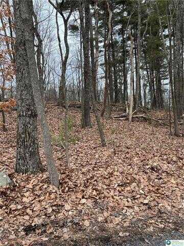 339 Williamson Drive, Smithfield, PA 18301