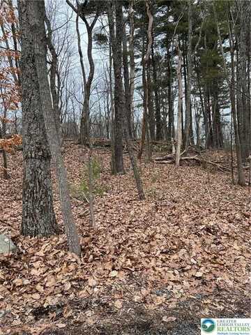 339 Williamson Drive, Smithfield Twp, PA 18301