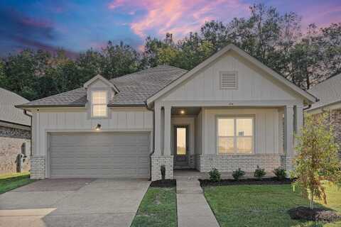 314 DELPHINIUM, Cordova, TN 38018