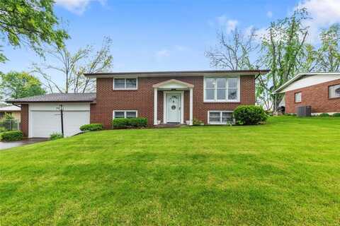 701 Northdale Drive, Perryville, MO 63775