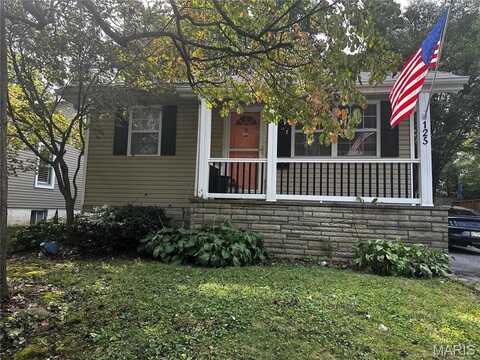 125 Hull Avenue, Saint Louis, MO 63119