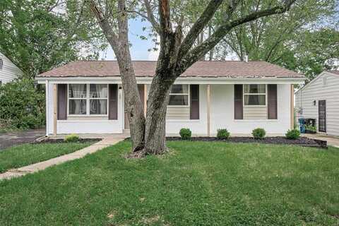 10544 Castle Drive, Saint Louis, MO 63136