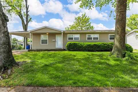 1420 Bluebird Drive, Florissant, MO 63031