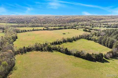 858 Wayne RM, Silva, MO 63964