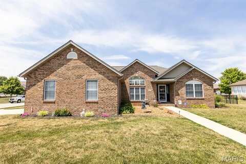 9631 Winchester Street, Mascoutah, IL 62258