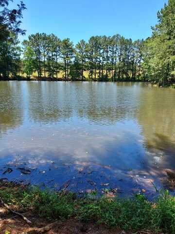 709 Green River Road, Gaffney, SC 29341