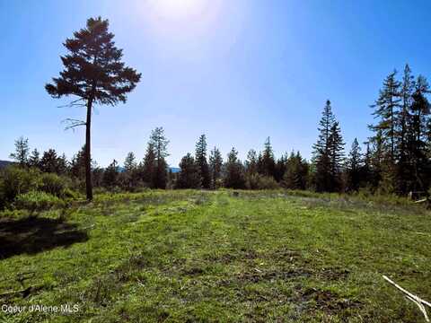 Nka E EMERALD DR, Harrison, ID 83833