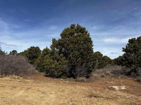 Lot 1 Road J.7, Egnar, CO 81325
