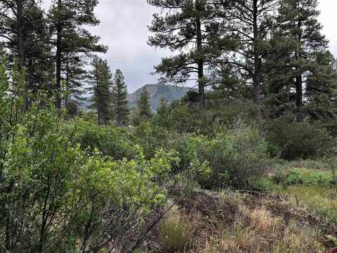 401 Deer Trail, Pagosa Springs, CO 81147