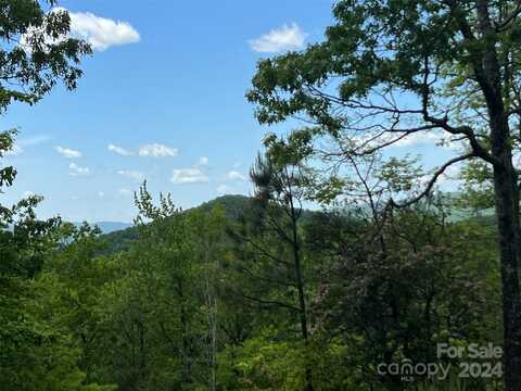 999 Old Ivy Lane, Pisgah Forest, NC 28768