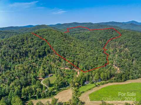 567 Davey Branch Road, Horse Shoe, NC 28742