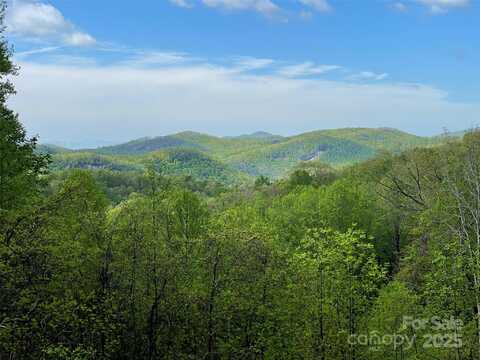 Off Pine Mountain Drive, Brevard, NC 28712