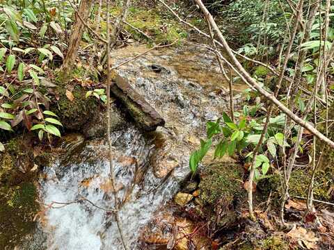 Lot 64 Peppervine Circle, Rosman, NC 28772