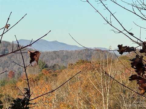 10 Clear Fork Lane, Fairview, NC 28730