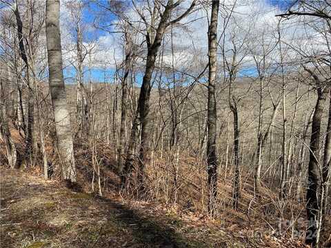 000 Birdymay Drive, Tuckasegee, NC 28783