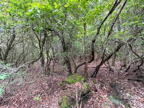 72 Emma Bri Lane, Penrose, NC 28766