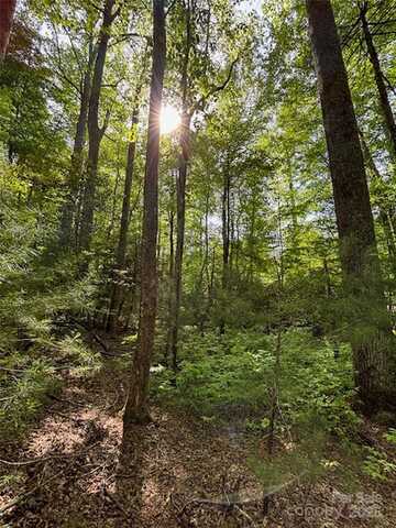 99999 Small Creek Road, Brevard, NC 28712