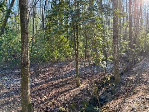 99999 Small Creek Road, Brevard, NC 28712