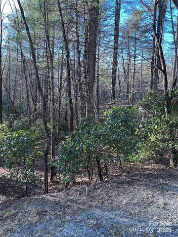 L76 Salola Lane, Brevard, NC 28712