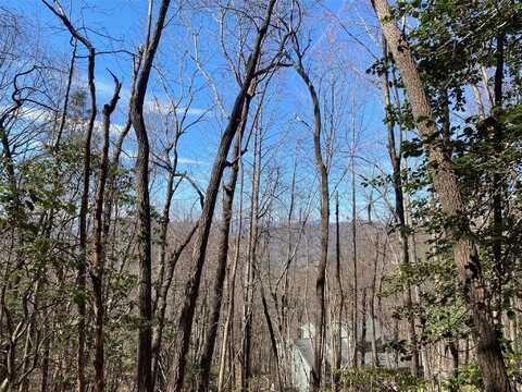 Lot 187 Wild Cherry Drive, Mills River, NC 28759