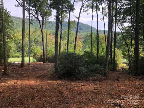 1304 Fawn Meadow Way, Arden, NC 28704