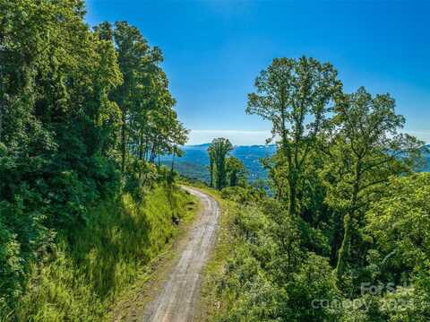 9999-29 Lovebird Lane, Canton, NC 28716