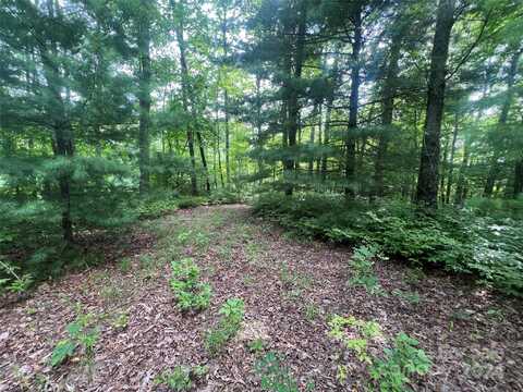 999 Laurel Thicket Lane, Brevard, NC 28712