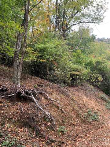 99999 Plott Balsam Road lot: 76, Maggie Valley, NC 28751