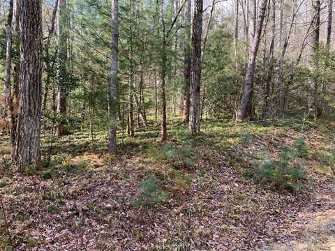126 Green Hollow Lane, Brevard, NC 28712
