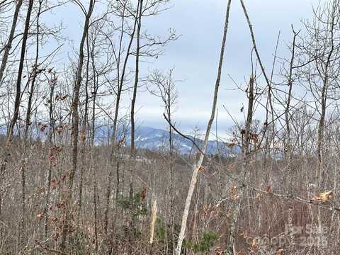 0000 Lot 78 Black Bear Crossing, Elk Park, NC 28622