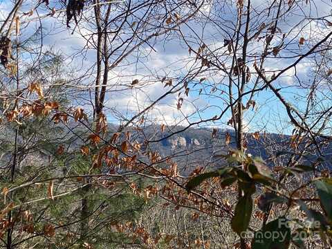 999 High Point Trail, Brevard, NC 28712
