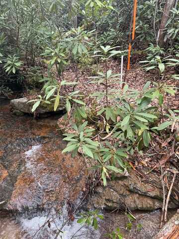 Tract A Cherrywood Lane, Pisgah Forest, NC 28768