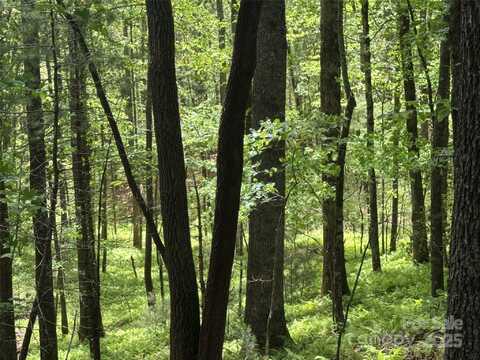 9999 Sassafras Road, Cedar Mountain, NC 28718