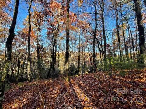 9999 Sassafras Road, Cedar Mountain, NC 28718