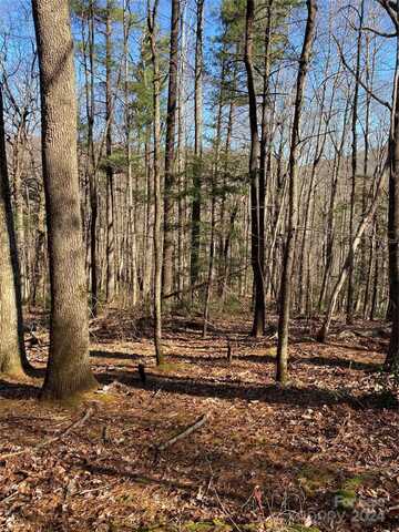 0000 Penley Road, Lenoir, NC 28645